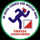 Vao